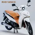 SHINERAY RIO 125 SHINERAY RIO 125
