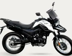 SHINERAY SHI 175 SHINERAY SHI 175