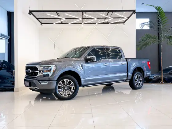 FORD F-150 5.0 V8 GASOLINA CD PLATINUM FX4 AUTOMÁTICO