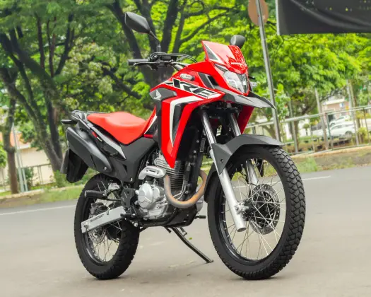 HONDA XRE 300 RALLY 