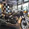 TRIUMPH SPEED TWIN TRIUMPH SPEED TWIN