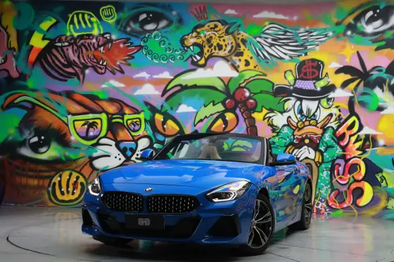 BMW Z4 2.0 TWINPOWER GASOLINA SDRIVE30i M SPORT STEPTRONIC