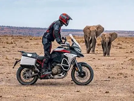 DUCATI-MULTISTRADA 1200 V4 RALLY ADVENTURE-2025