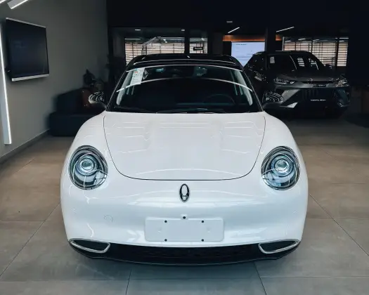 GWM ORA 03 48 KW ELÉTRICO SKIN BEV48