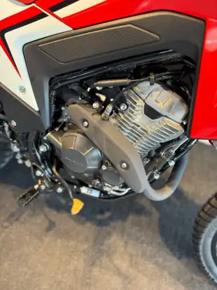 HONDA-XR 300L TORNADO-2025