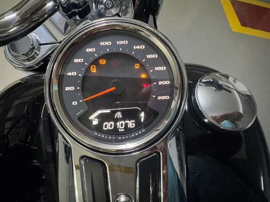 HARLEY-DAVIDSON-SOFTAIL FAT BOY 117 HARLEY-DAVIDSON-SOFTAIL FAT BOY 117-2025