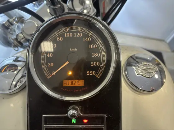 HARLEY-DAVIDSON SOFTAIL DELUXE 