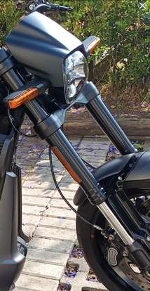 HARLEY-DAVIDSON-SOFTAIL FXDR 114-2019