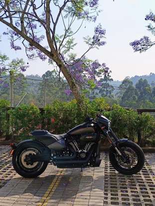 HARLEY-DAVIDSON-SOFTAIL FXDR 114-2019