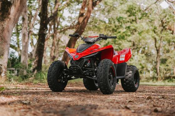 CFMOTO CFORCE 110 LV 