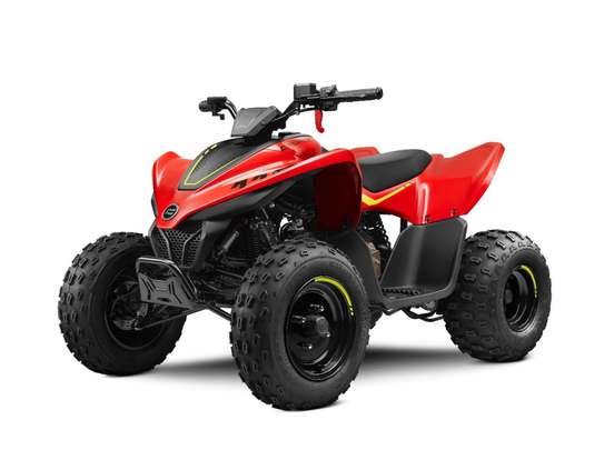 CFMOTO-CFORCE 110 LV CFMOTO-CFORCE 110 LV-2025