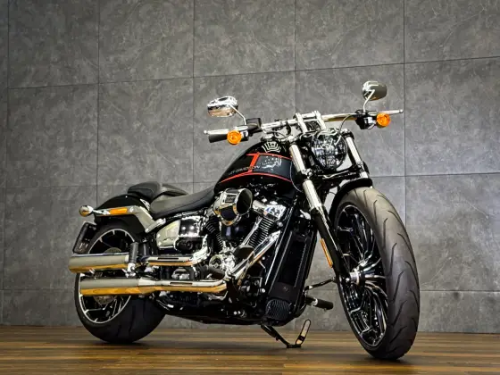 HARLEY-DAVIDSON SOFTAIL BREAKOUT 