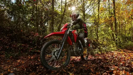 HONDA-XR 300L TORNADO-2026