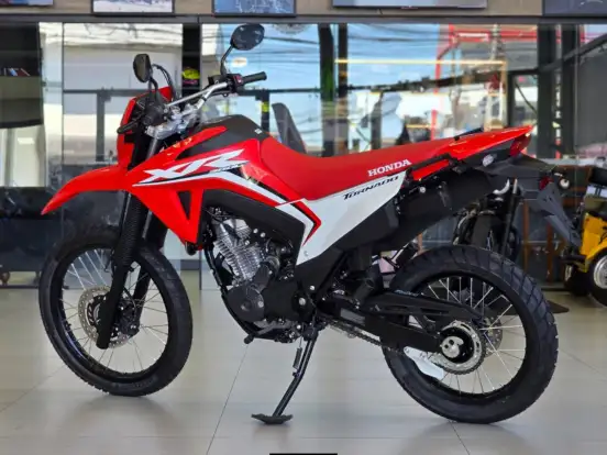 HONDA-XR 300L TORNADO HONDA-XR 300L TORNADO-2025