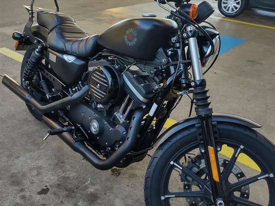 HARLEY-DAVIDSON-SPORTSTER IRON 883 HARLEY-DAVIDSON-SPORTSTER IRON 883-2019