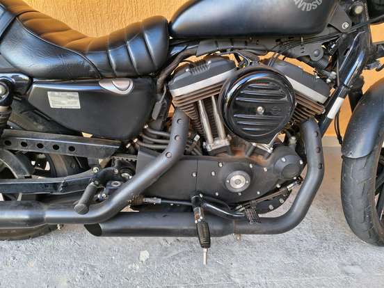 HARLEY-DAVIDSON-SPORTSTER IRON 883-2019