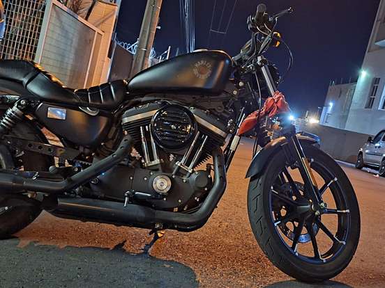HARLEY-DAVIDSON-SPORTSTER IRON 883-2019
