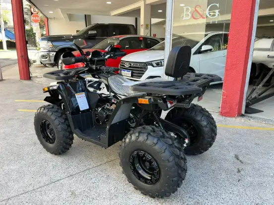 SHINERAY-ATV 200 SHINERAY-ATV 200-2024