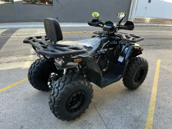 SHINERAY-ATV 200 SHINERAY-ATV 200-2024
