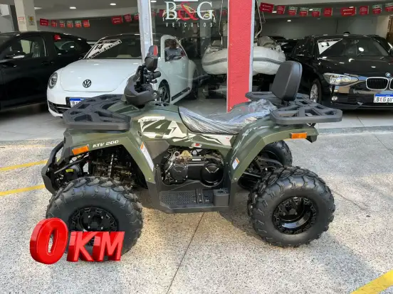 SHINERAY-ATV 200 SHINERAY-ATV 200-2024