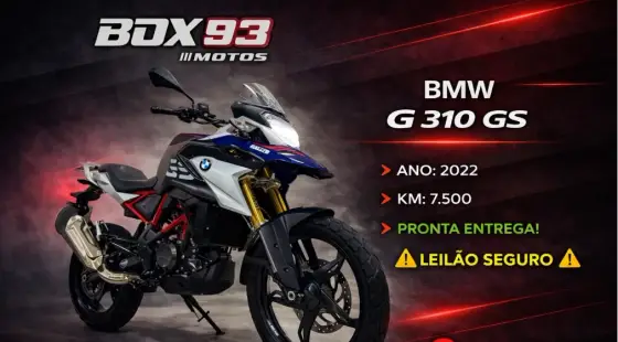 BMW G 310 GS 