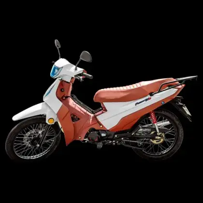 SHINERAY PHOENIX S 50 