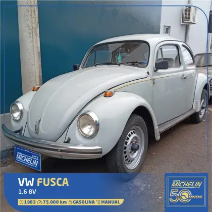 VOLKSWAGEN FUSCA 1.6 8V GASOLINA 2P MANUAL