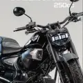 SHINERAY TITANIUM 250 SHINERAY TITANIUM 250