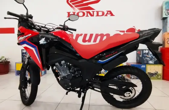 HONDA XRE 300 SAHARA RALLY 
