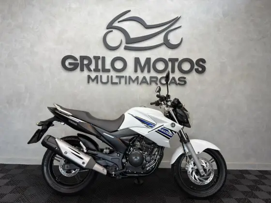 YAMAHA YS 250 FAZER BLUEFLEX YAMAHA YS 250 FAZER BLUEFLEX
