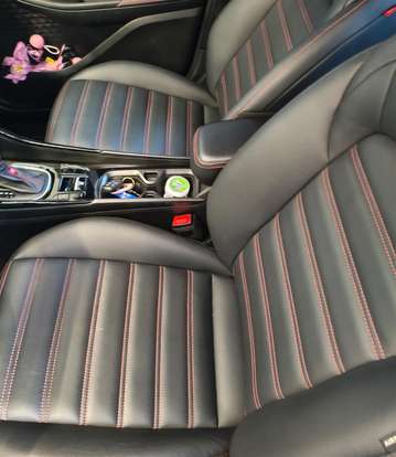 FIAT-PULSE-2024