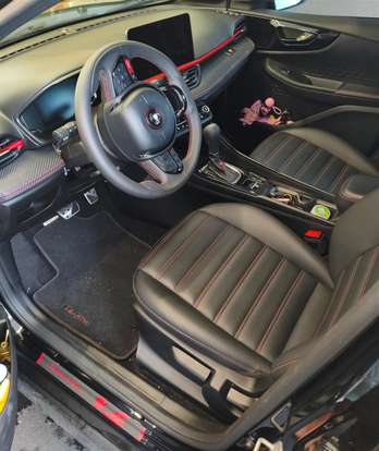 FIAT-PULSE-2024