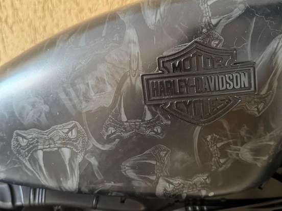HARLEY-DAVIDSON-SPORTSTER IRON 883 HARLEY-DAVIDSON-SPORTSTER IRON 883-2011