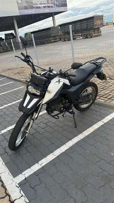 SHINERAY-SHI 175-2024