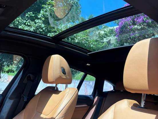 BMW-X4-2.0 16V GASOLINA XDRIVE30I M SPORT STEPTRONIC BMW-X4-2019