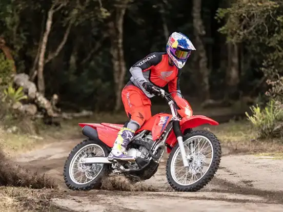 HONDA-CRF 300F HONDA-CRF 300F-2026