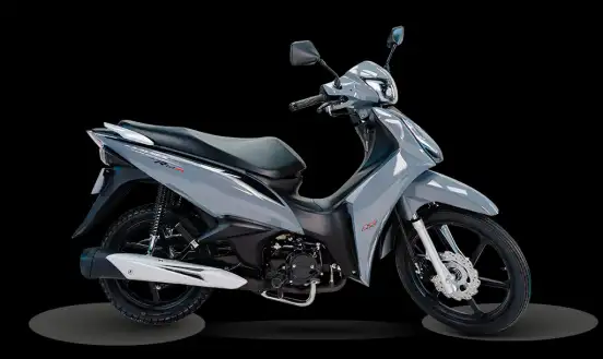 SHINERAY-RIO 125 SHINERAY-RIO 125-2026