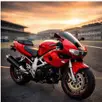 SUZUKI TL 1000 S SUZUKI TL 1000 S