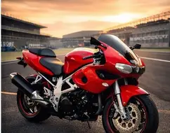 SUZUKI TL 1000 S SUZUKI TL 1000 S