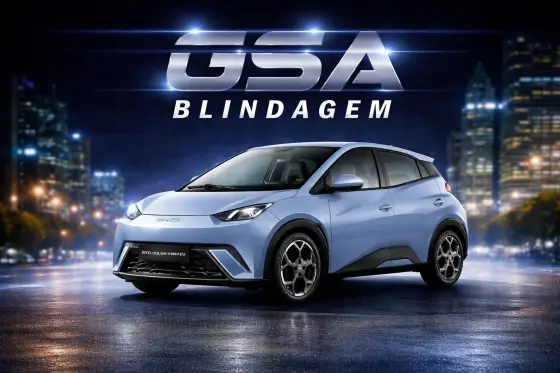 BYD DOLPHIN MINI 38 KW ELÉTRICO GS