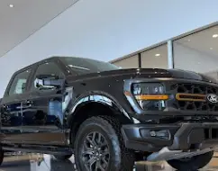 FORD F-150 5.0 V8 GASOLINA CD TREMOR FX4 AUTOMÁTICO FORD F-150 5.0 V8 GASOLINA CD TREMOR FX4 AUTOMÁTICO