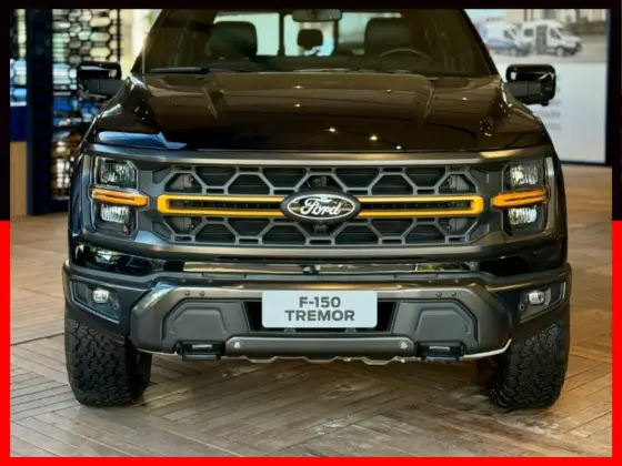 FORD F-150 5.0 V8 GASOLINA CD TREMOR FX4 AUTOMÁTICO FORD F-150 5.0 V8 GASOLINA CD TREMOR FX4 AUTOMÁTICO