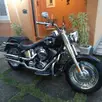 HARLEY-DAVIDSON SOFTAIL FAT BOY HARLEY-DAVIDSON SOFTAIL FAT BOY