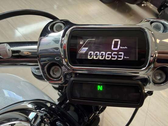 HARLEY-DAVIDSON-SOFTAIL BREAKOUT HARLEY-DAVIDSON-SOFTAIL BREAKOUT-2024