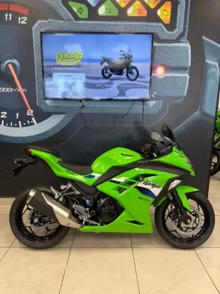 KAWASAKI NINJA 300 