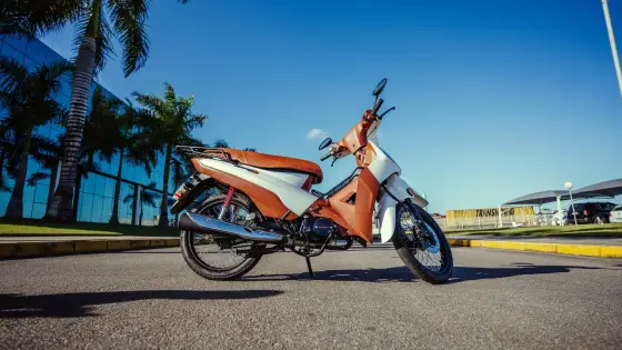 SHINERAY PHOENIX S 50 