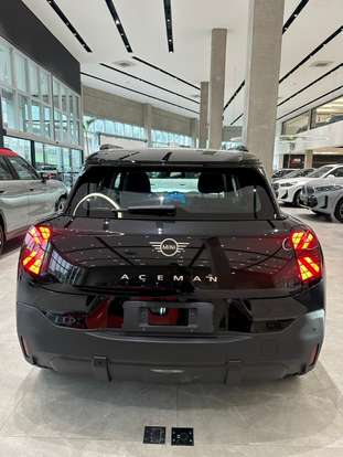 MINI-ACEMAN-2024