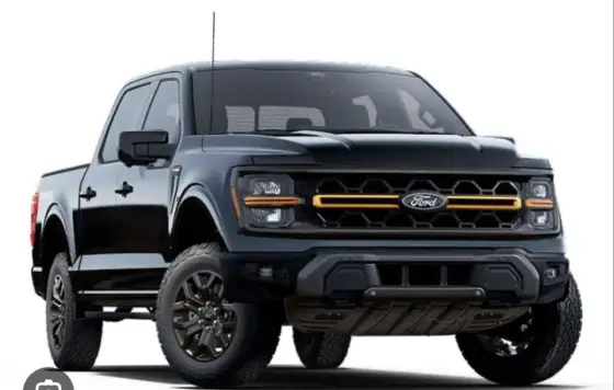 FORD F-150 5.0 V8 GASOLINA CD TREMOR FX4 AUTOMÁTICO