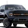 FORD F-150 5.0 V8 GASOLINA CD TREMOR FX4 AUTOMÁTICO FORD F-150 5.0 V8 GASOLINA CD TREMOR FX4 AUTOMÁTICO