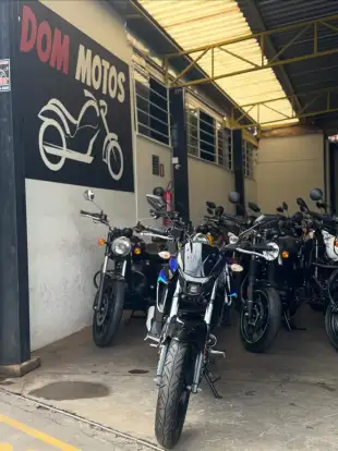 YAMAHA-FZ25 FAZER ABS-2024